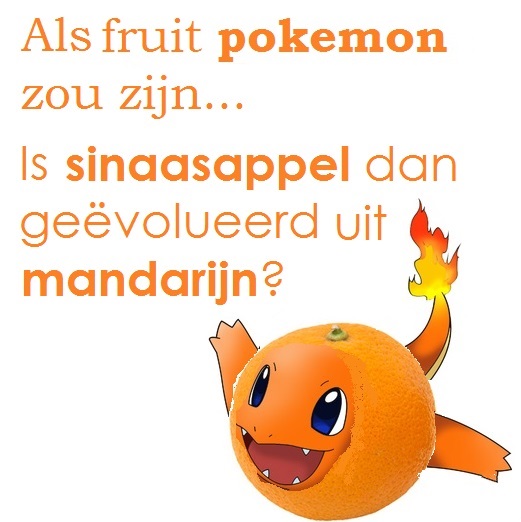 kinderen meer fruit laten eten gezond grappig kinderen pokemon mandarijn sintmaarten fruit