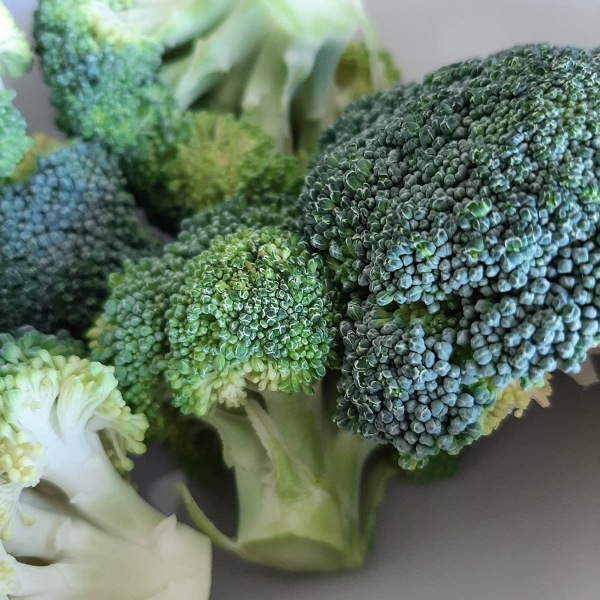 broccoli seizoen