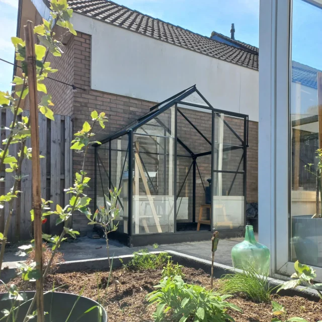 Yes! We hebben een kas in de #fitgavemoestuin!
Een mooi compact model, tweedehands, via Marktplaats!

Nog een hele toer om 'm uit elkaar te halen en zonder brokken naar huis te vervoeren. En nog best een puzzel om het weer in elkaar te zetten, maar hij staat!

Vooral voor het voorzaaien, maar ook met een l-vormige strook volle grond voor o.a. komkommers (zie reel).

De kas staat behoorlijk in de schaduw (geen andere plek beschikbaar, vooral vanwege veiligheid in combinatie met speelgedeeltes in de tuin.

Dat vraagt dus om specifieke gewassen die hier goed op gaan.

Iemand hier ervaring mee? Tips altijd welkom!

/
/
#fitgavemoestuin #moestuin #garden #gardening #permacultuur #ecologisch #permacultuur #gezond #ontdekken #groente #telen #verbouwen #samen #thuis #tips #inspiratie #fit #gaaf #healthy #fitgaaf #health #kids