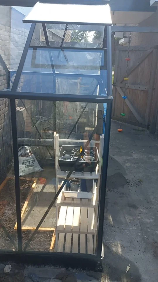 Yes! We hebben een kas in de #fitgavemoestuin!
Een mooi compact model, tweedehands, via Marktplaats!
Een hele toer om 'm uit elkaar te halen en heel naar huis te vervoeren. En nog best een puzzel om het weer in elkaar te zetten, maar hij staat!
Vooral voor het voorzaaien, maar ook met een l-vormige strook volle grond voor o.a. komkommers.

De kas staat behoorlijk in de schaduw (geen andere plek beschikbaar, vooral vanwege veiligheid in combinatie met speelgedeeltes in de tuin).

Dat vraagt dus om specifieke gewassen die hier goed op gaan.

Iemand hier ervaring mee? Tips altijd welkom!

/
/
#fitgavemoestuin #moestuin #garden #gardening #permacultuur #ecologisch #permacultuur #gezond #ontdekken #groente #telen #verbouwen #samen #thuis #tips #inspiratie #fit #gaaf #healthy #fitgaaf #health #kids