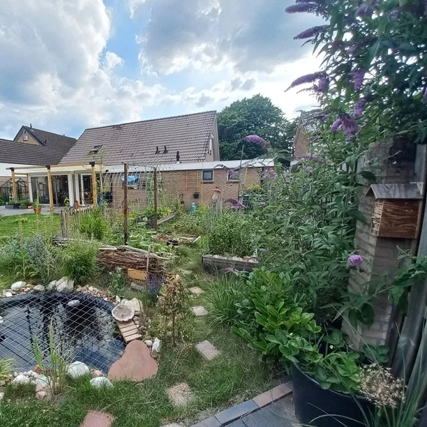 Benieuwd hoe onze tuin er 1,5 jaar geleden uitzag? Check dan de nieuwe instagram-pagina van @vergroendoeners! 🌱🎉

VergroenDoeners is een nieuw initiatief onder de paraplu van FitGaaf! Vanuit onze missie ‘gezond opgroeien, met meer plezier en minder strijd’ is er met VergroenDoeners verdieping op het vlak van groene, gezonde leefomgevingen.

Met VergroenDoeners gaan we vergroen-workshops verzorgen op scholen, in het teken van de Verlengde of Verrijkte schooldag. Maar ook voor het vergroenen van particuliere tuinen kun je bij ons terecht. 

In het vervolg zal ik updates over onze tuin (en andere kleine vergroenprojecten met grote impact) delen via de nieuwe insta-pagina @vergroendoeners.

Tegelijkertijd kan de focus hier op ons FitGaaf!-kanaal daarmee weer volledig naar gezond eten, drinken, bewegen en ontspannen 😄

Wel vinden we het natuurlijk super leuk wanneer je ons ook via @vergroendoeners blijft volgen. Want eigenlijk heeft het allemaal met elkaar te maken 🌎💚

/
/
#fitgavemoestuin #moestuin #garden #gardening #permacultuur #ecologisch #permacultuur #gezond #ontdekken #groente #telen #verbouwen #samen #thuis #tips #inspiratie #fit #gaaf #healthy #fitgaaf #health #kids